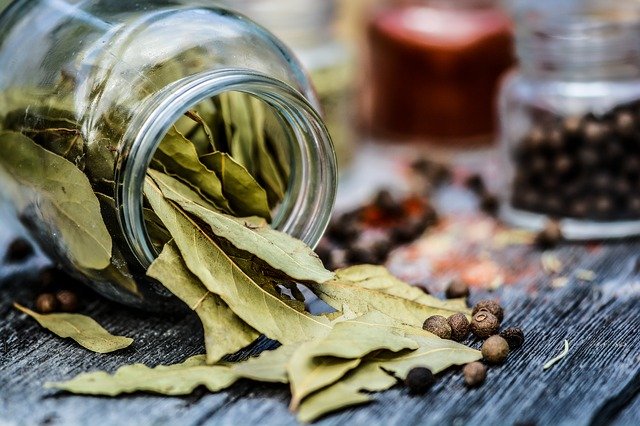 bay leaves for roaches