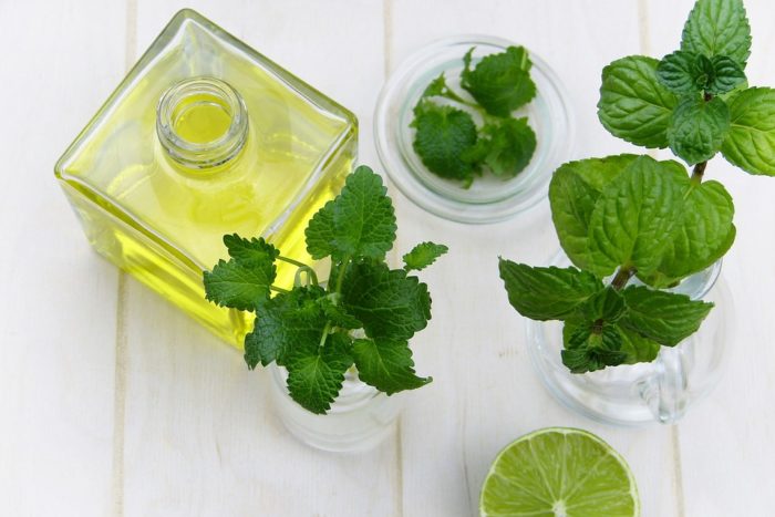 peppermint oil for rats