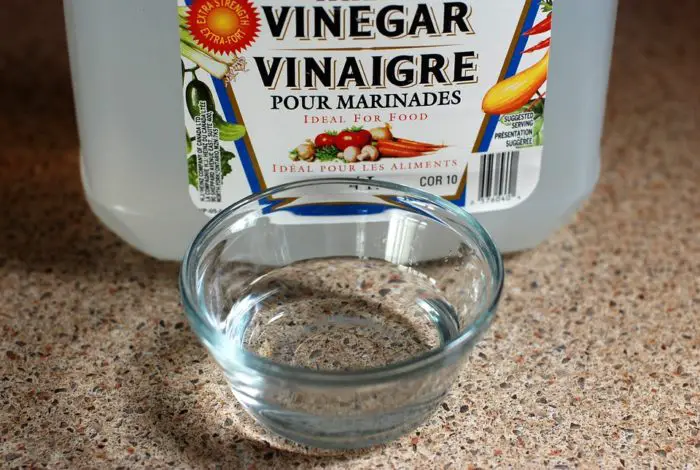 vinegar to get rid of ants