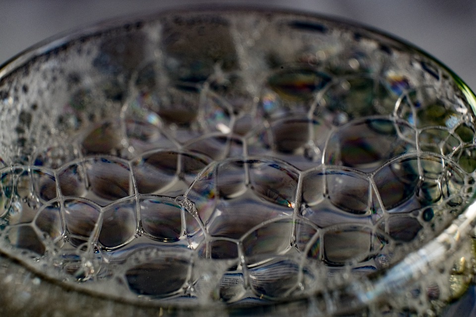 Does Soapy Water Kill Bees? Soapy Water for Bees