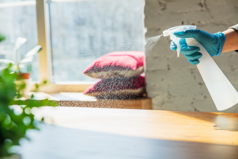 does-disinfectant-spray-kill-bed-bugs