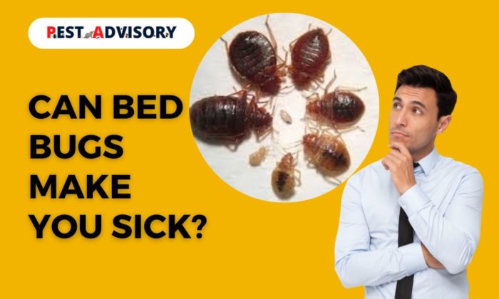 Can Bed Bugs Make You Sick?