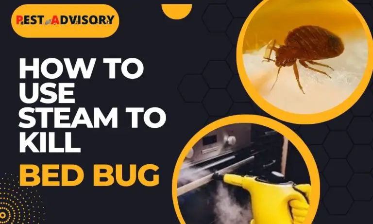 how to use steamer to kill bed bug