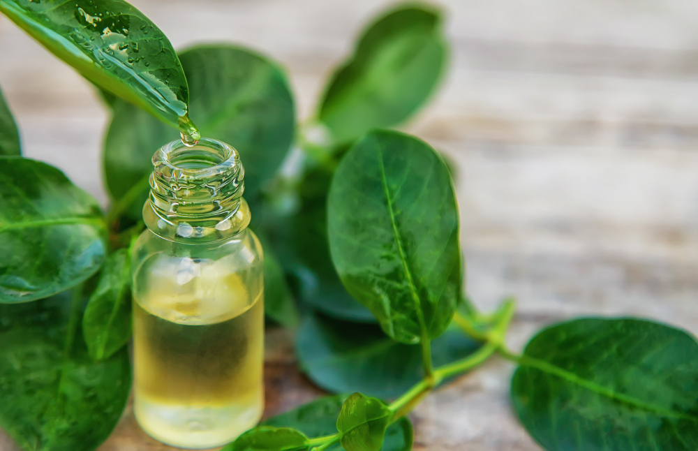Does Tea Tree Oil Repel Spiders?