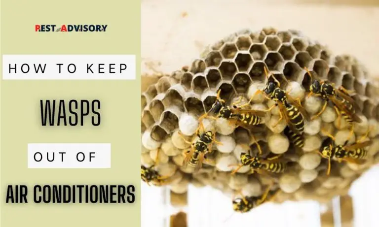 how to keep wasps out of air conditioners