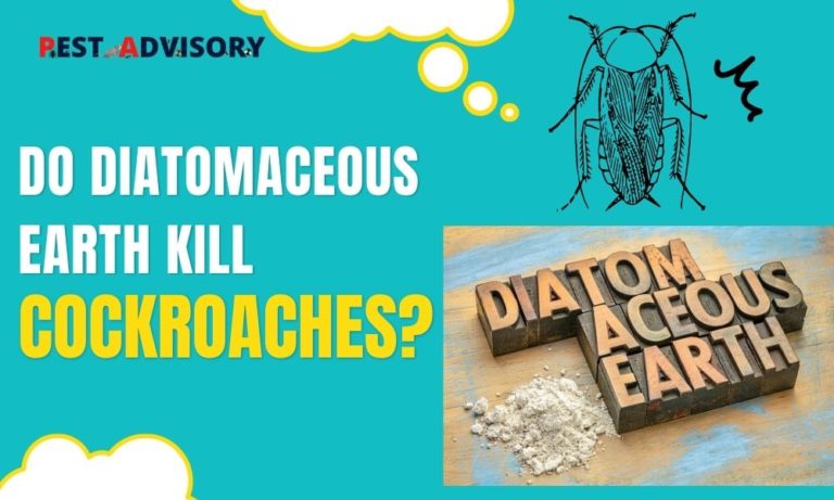 do diatomaceous powder kill roaches