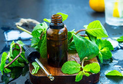 peppermint oil for fleas