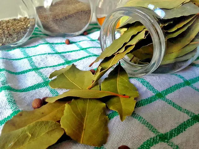 do bay leaves repel roaches